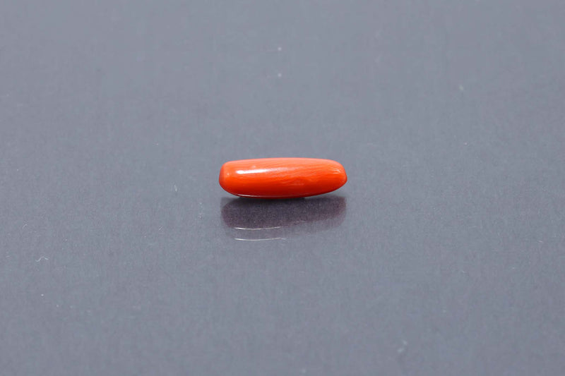 Red Coral - 3.17 Carat
