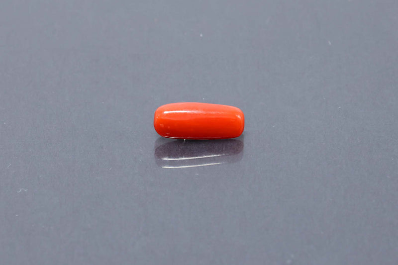 Red Coral - 3.16 Carat