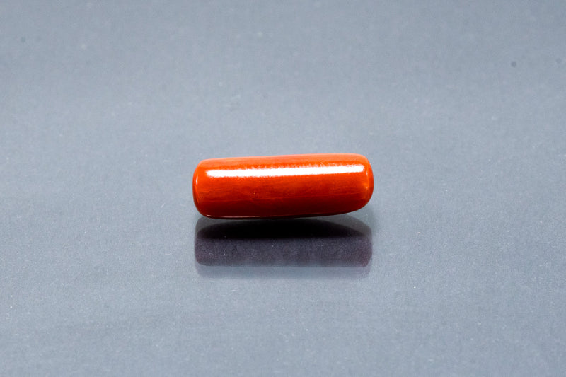 Red Coral - 7.47 Carat