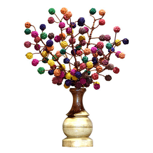 Rudraksha Tree (108 Multicolored Beads)