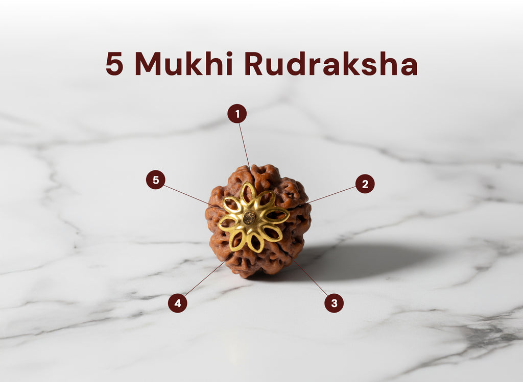 5 Mukhi Nepali Rudraksha