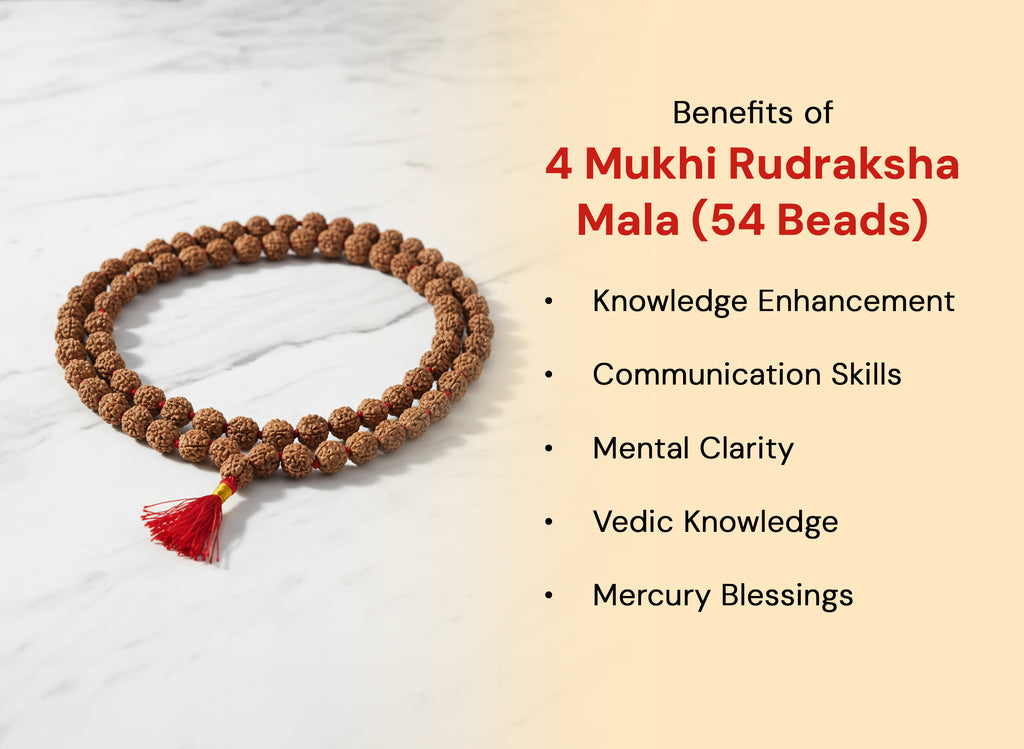Char Mukhi Rudraksh Mala Beads (54 Beads)
