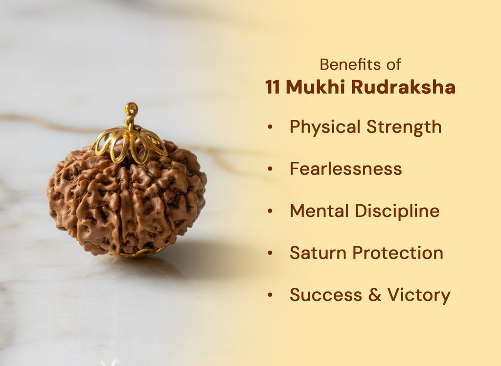 11 Mukhi Original Nepali Rudraksha