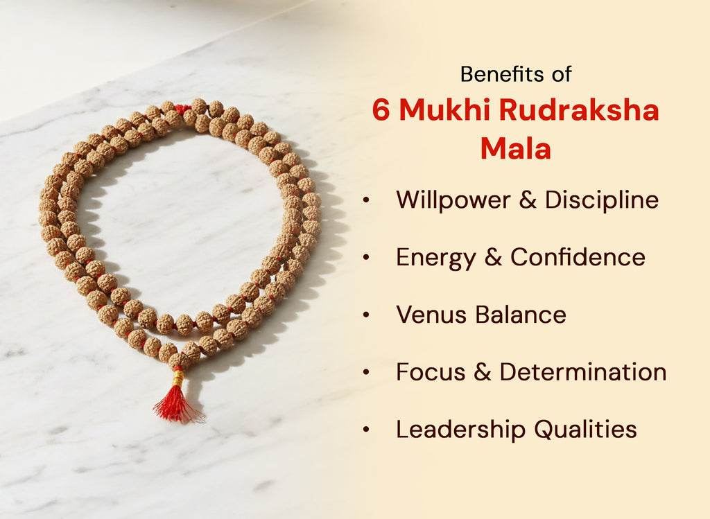6 Mukhi Rudraksha Mala, 10mm (54 + 1 Beads)
