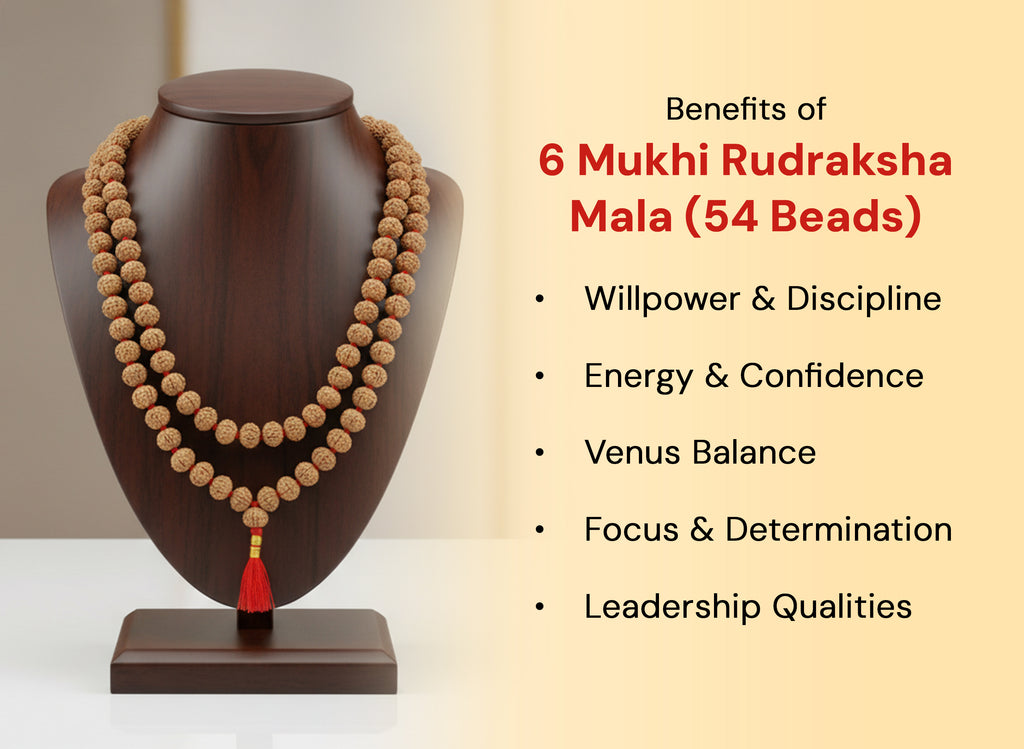 6 Mukhi Rudraksha Mala, 8mm (54 Beads)