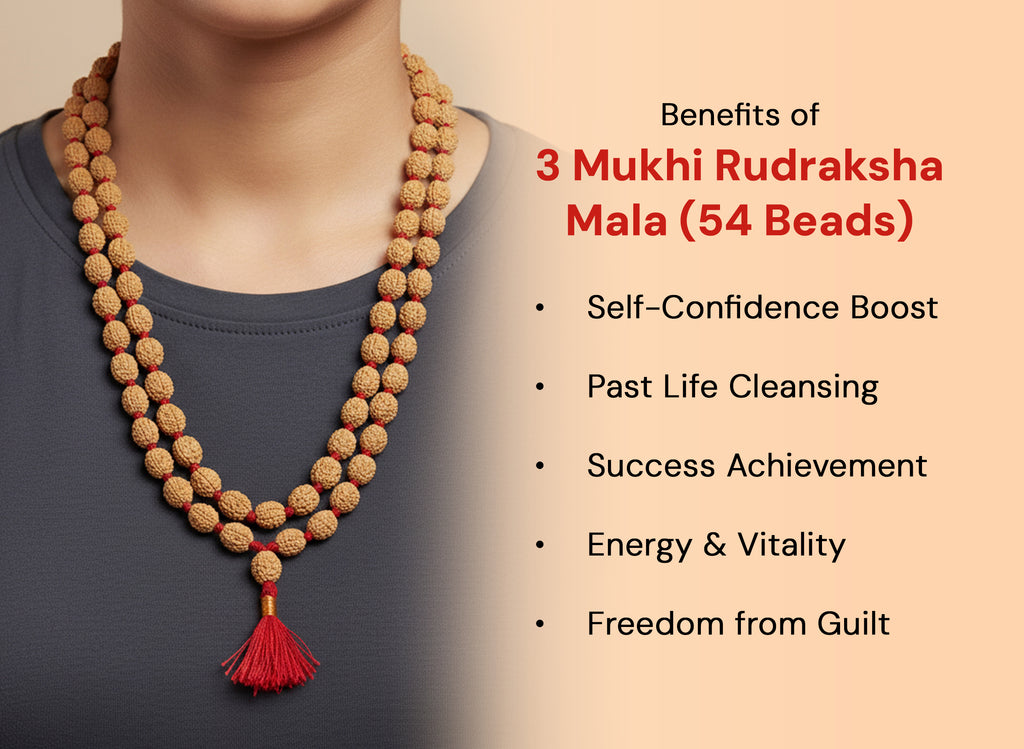 Teen Mukhi Rudraksha Mala (54 Beads)