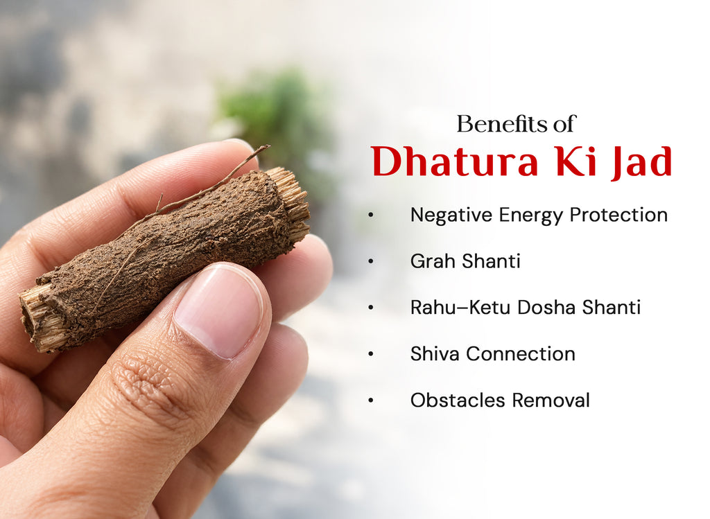 Dhature ki Jad