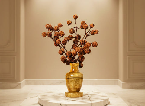 Rudraksha Tree