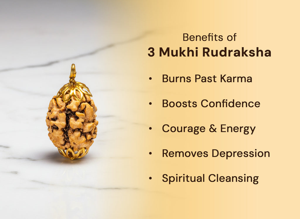 3 Mukhi Indian Original Rudraksha