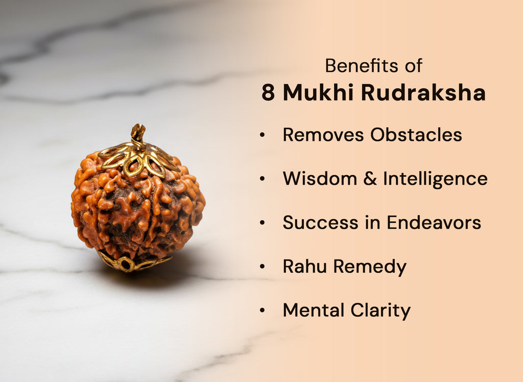 8 Mukhi Original Nepali Rudraksha