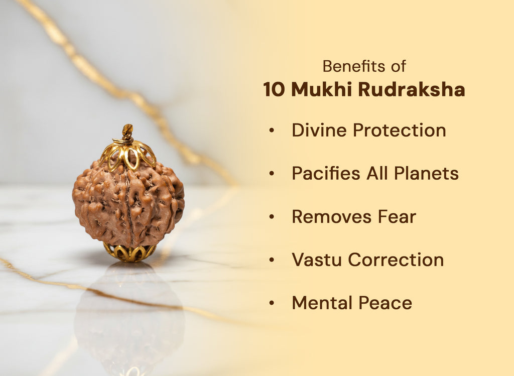 10 Mukhi Nepali Original Rudraksha