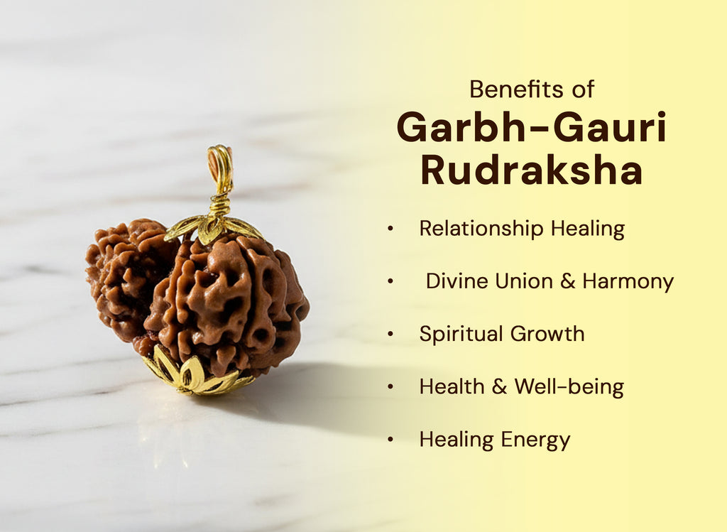 Garbh-Gauri Original Nepali Rudraksha