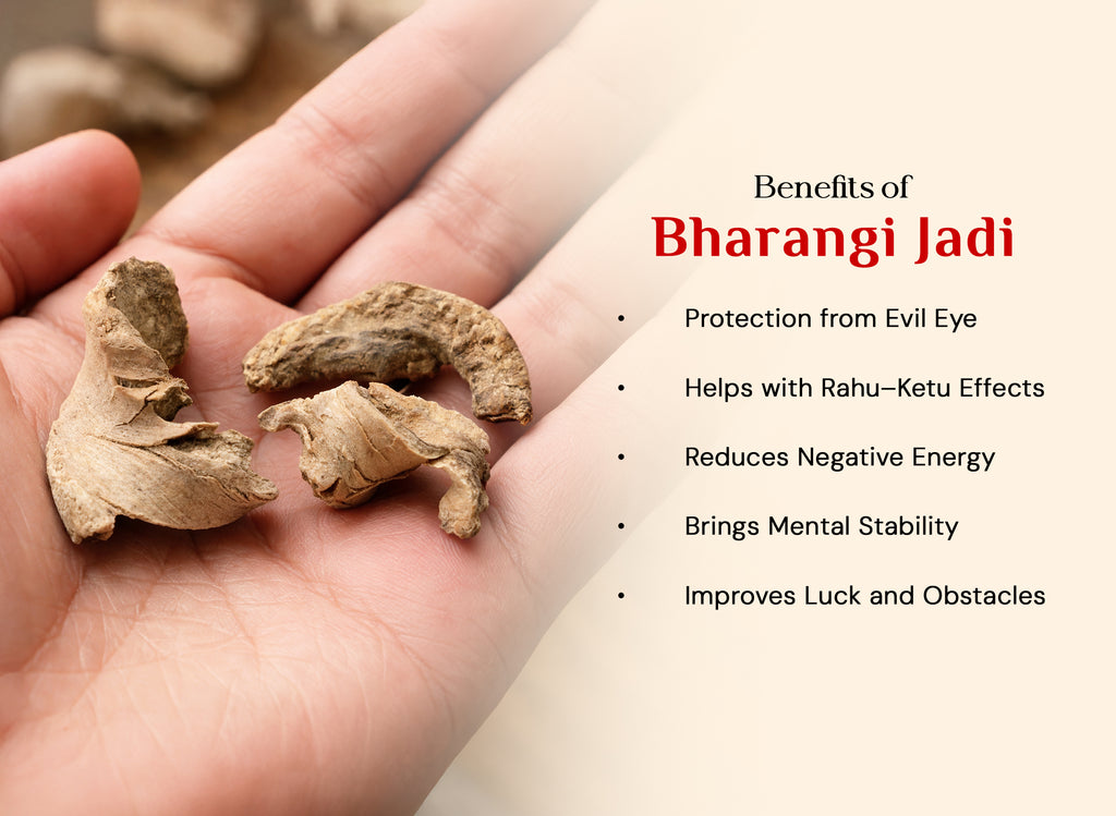 Bharangi Root - Bharangi Ki Jad