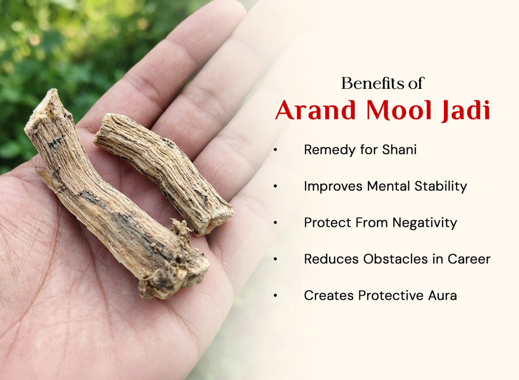 Arand Mool - Eranda Mool