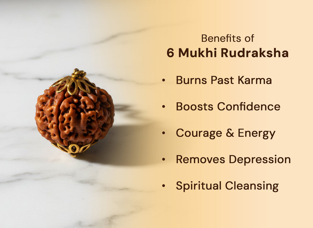 6 Mukhi Rudraksha (Nepali)