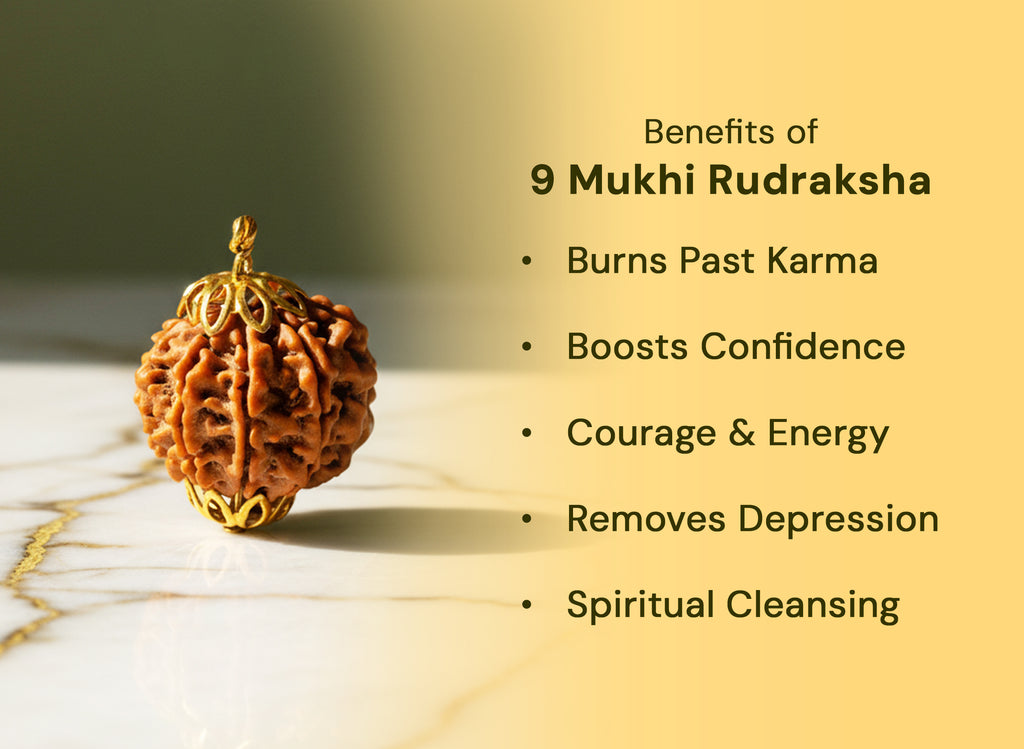 9 Mukhi Original Nepali Rudraksha