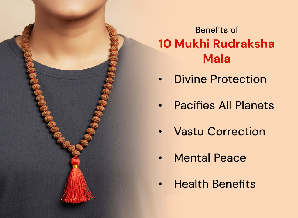 Dus Mukhi Rudraksha Mala (108 Beads)