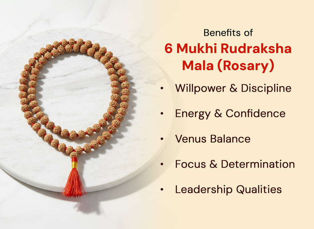 6 Mukhi Rudraksha Mala (Rosary) (108 Beads)