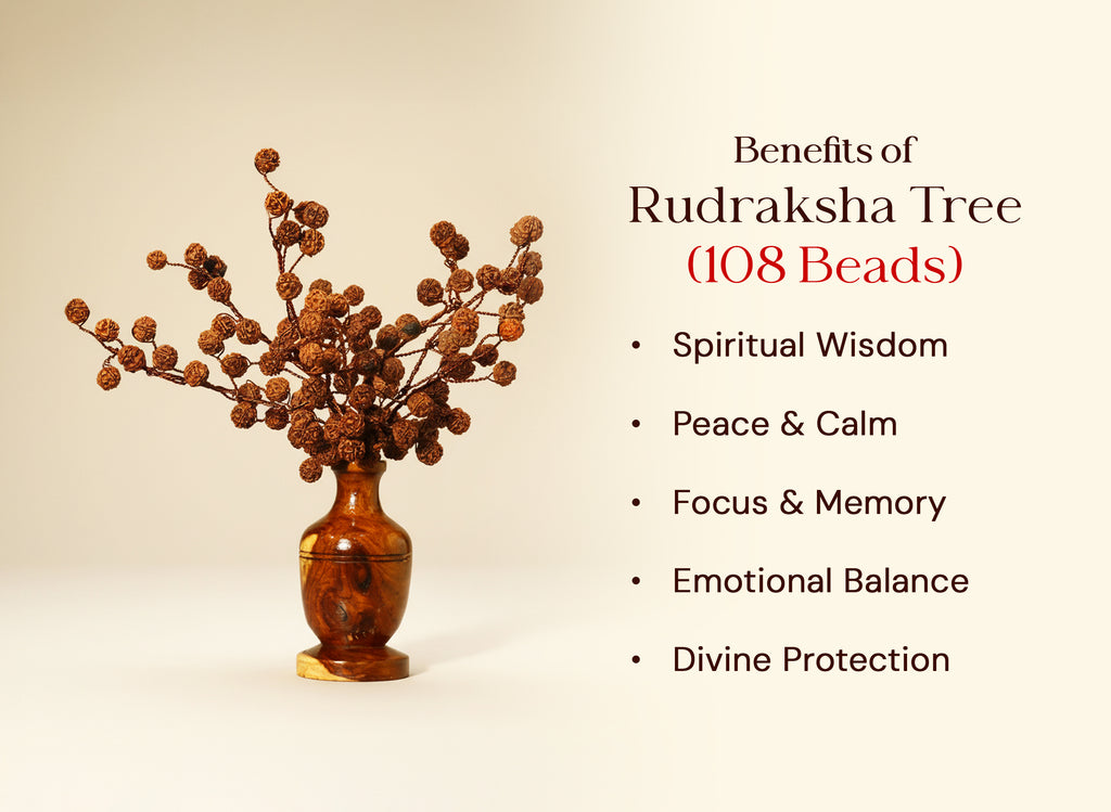 Rudraksha Tree (108 Beads) – Without Color