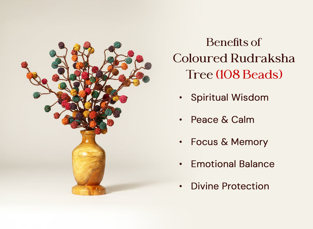Rudraksha Tree (108 Beads) – Colored