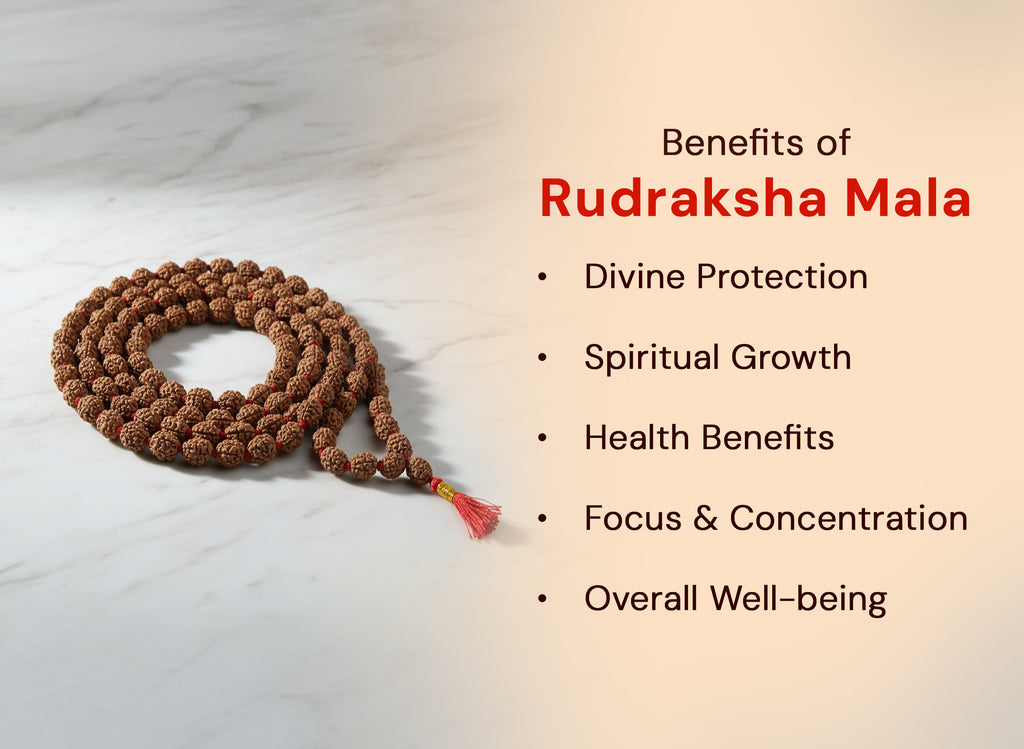 Rudraksha Mala [54 Beads]