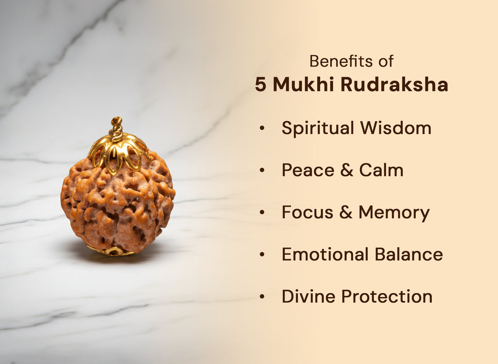5 Mukhi Nepali Rudraksha