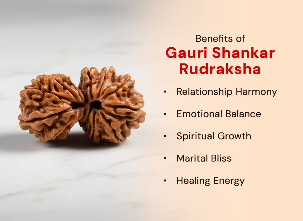 Gauri Shankar Rudraksha