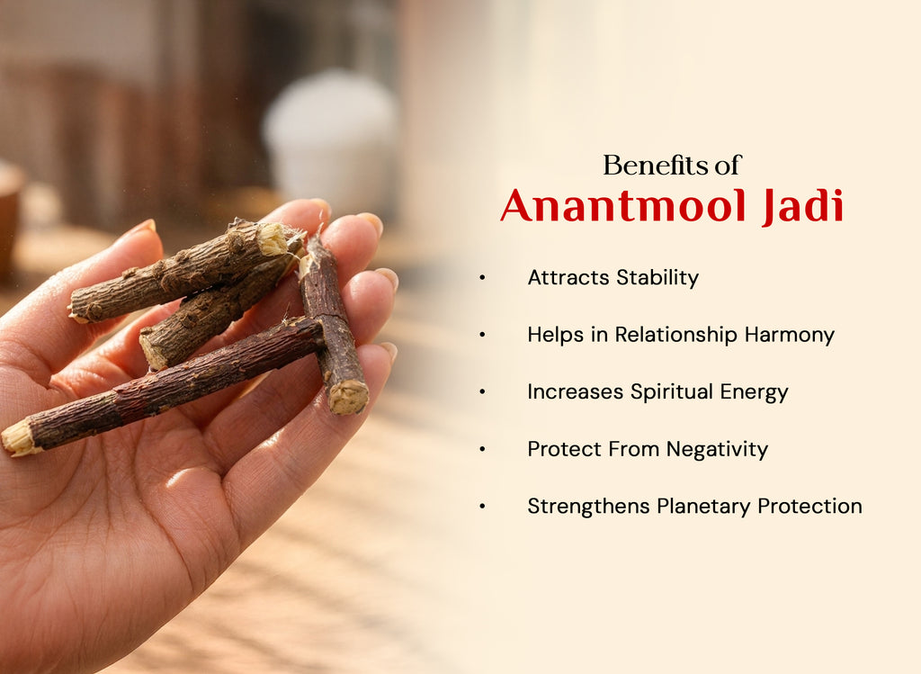 Anantmool Jadi