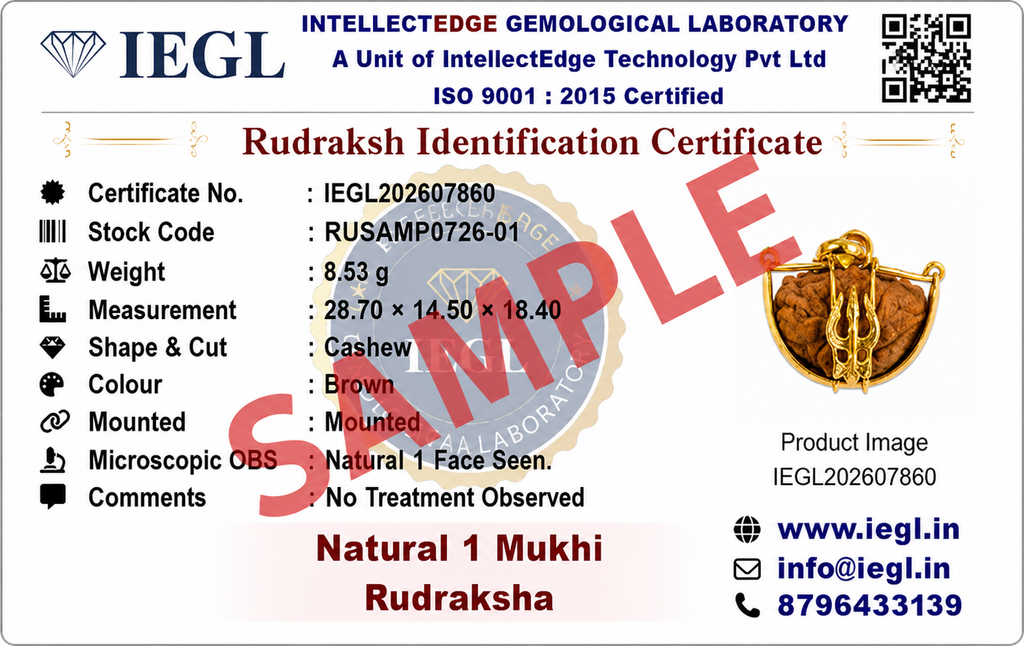 1 Mukhi Rudraksha (Trishul)