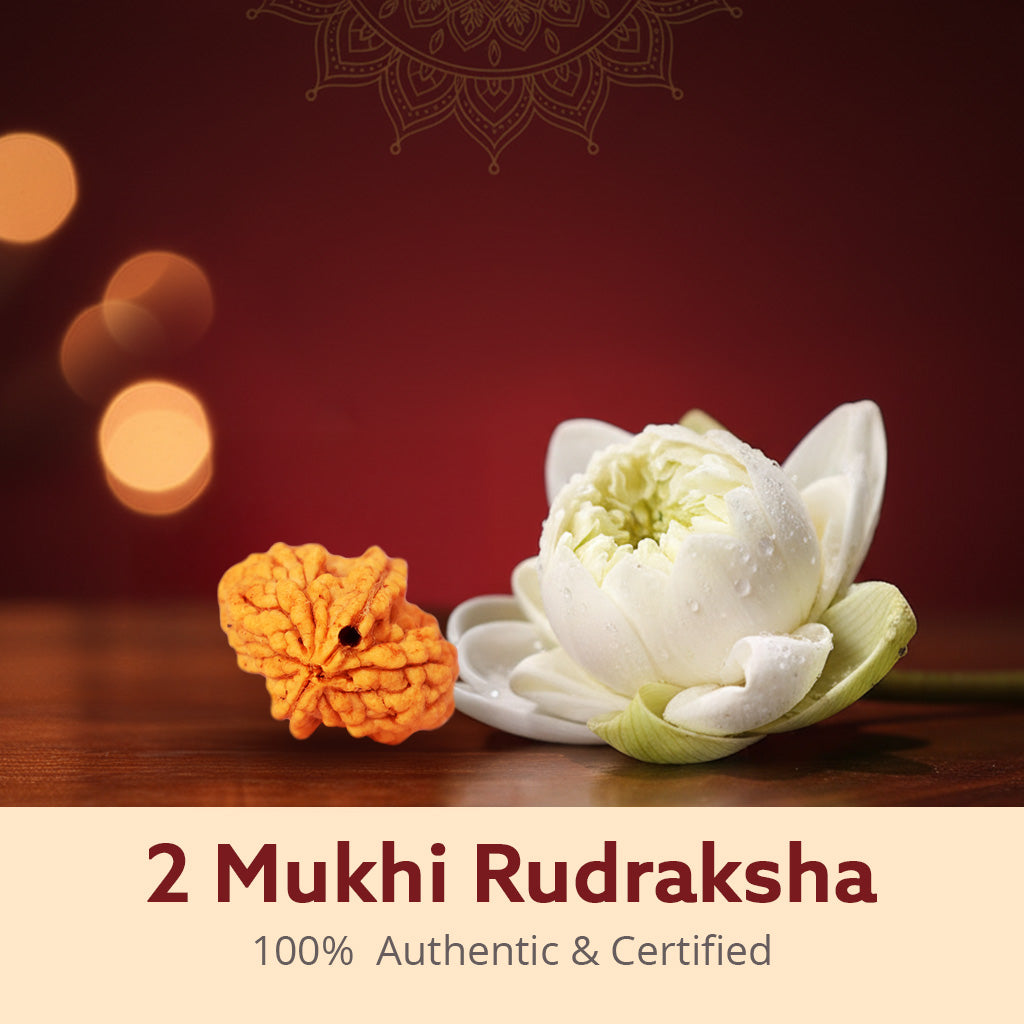 5 Mukhi Nepali Rudraksha