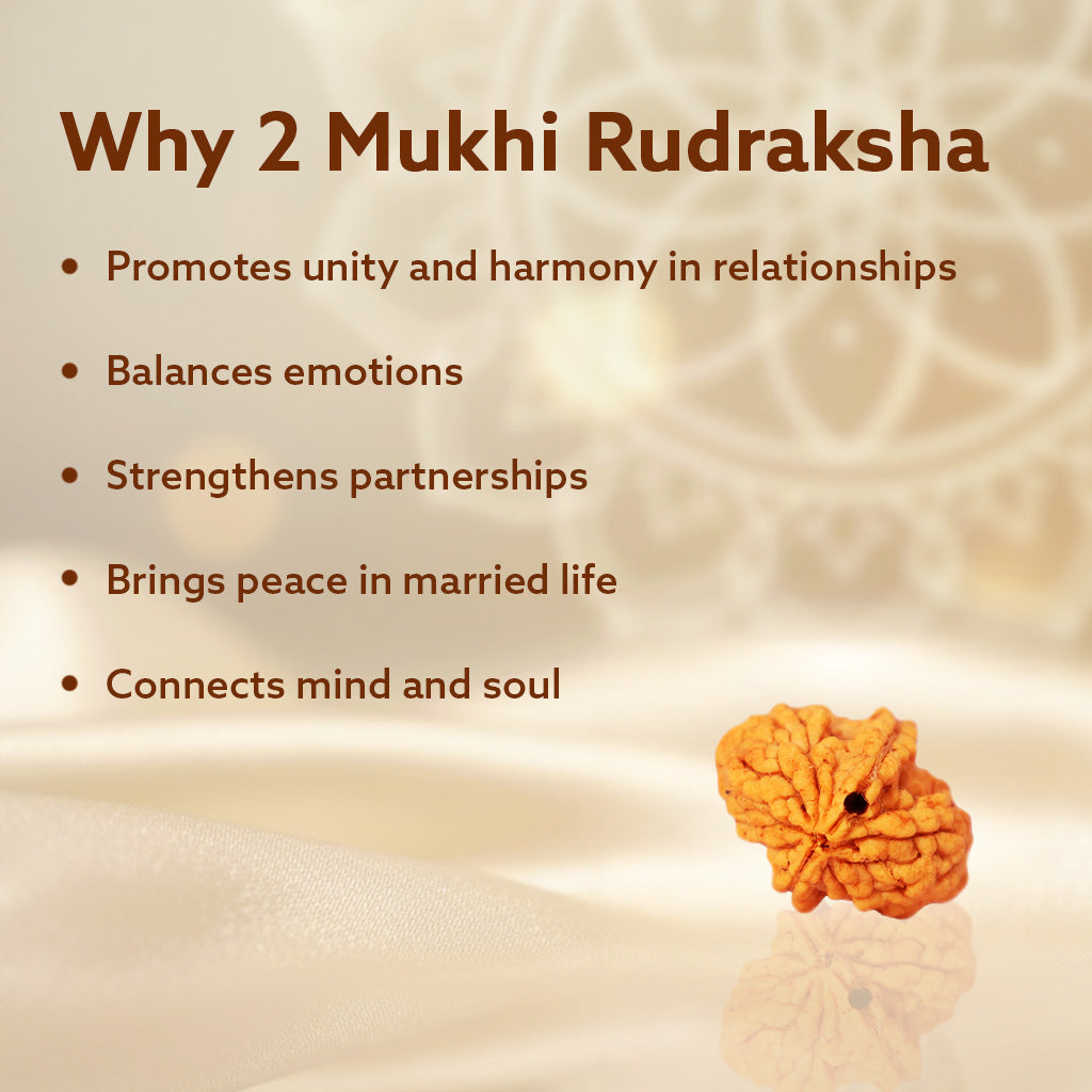 5 Mukhi Nepali Rudraksha