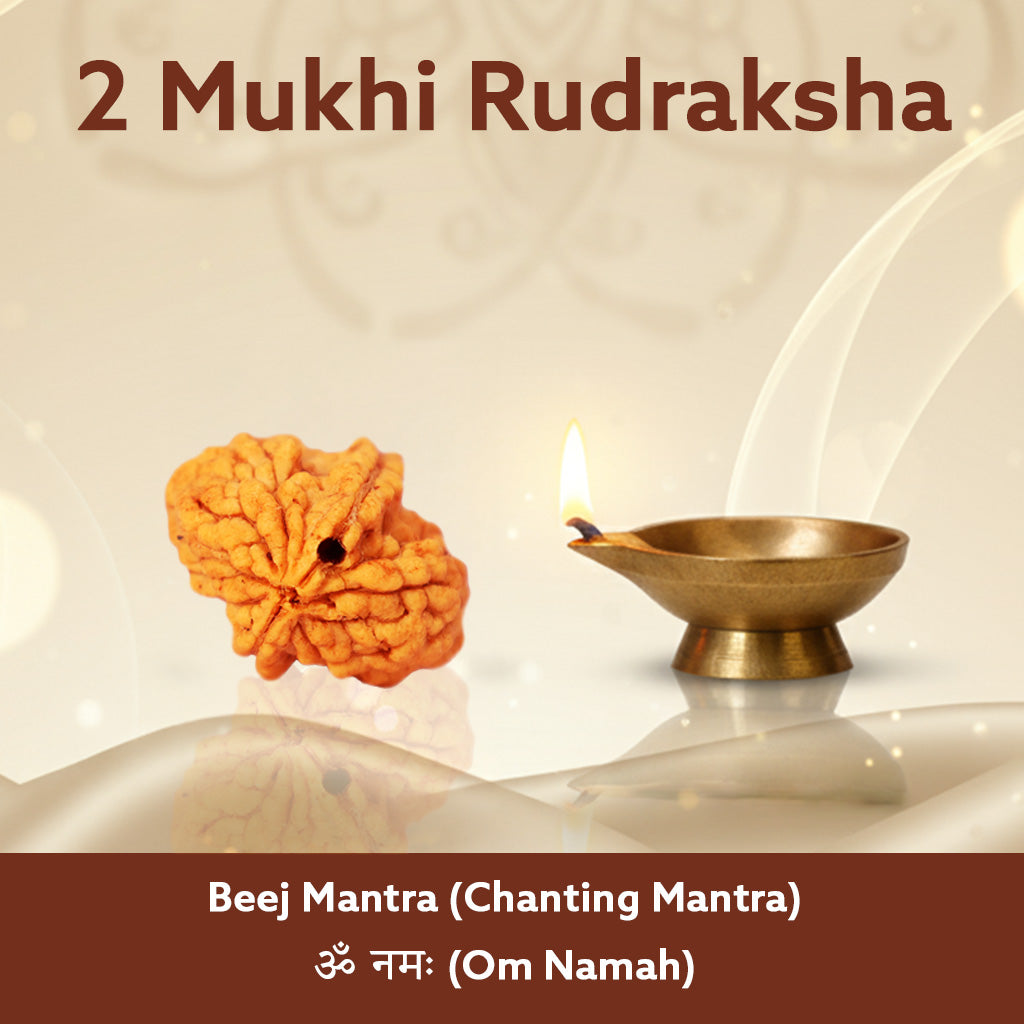 5 Mukhi Nepali Rudraksha