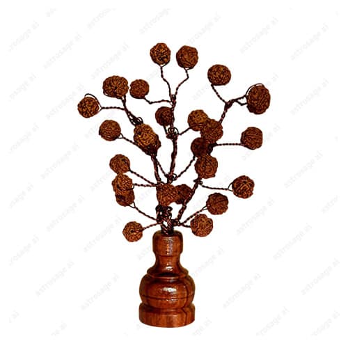 Rudraksha Tree (27 Beads Natural)