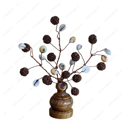 Rudraksha Tree (27 Beads, Natural, Kaudi, Gomati Chakra)