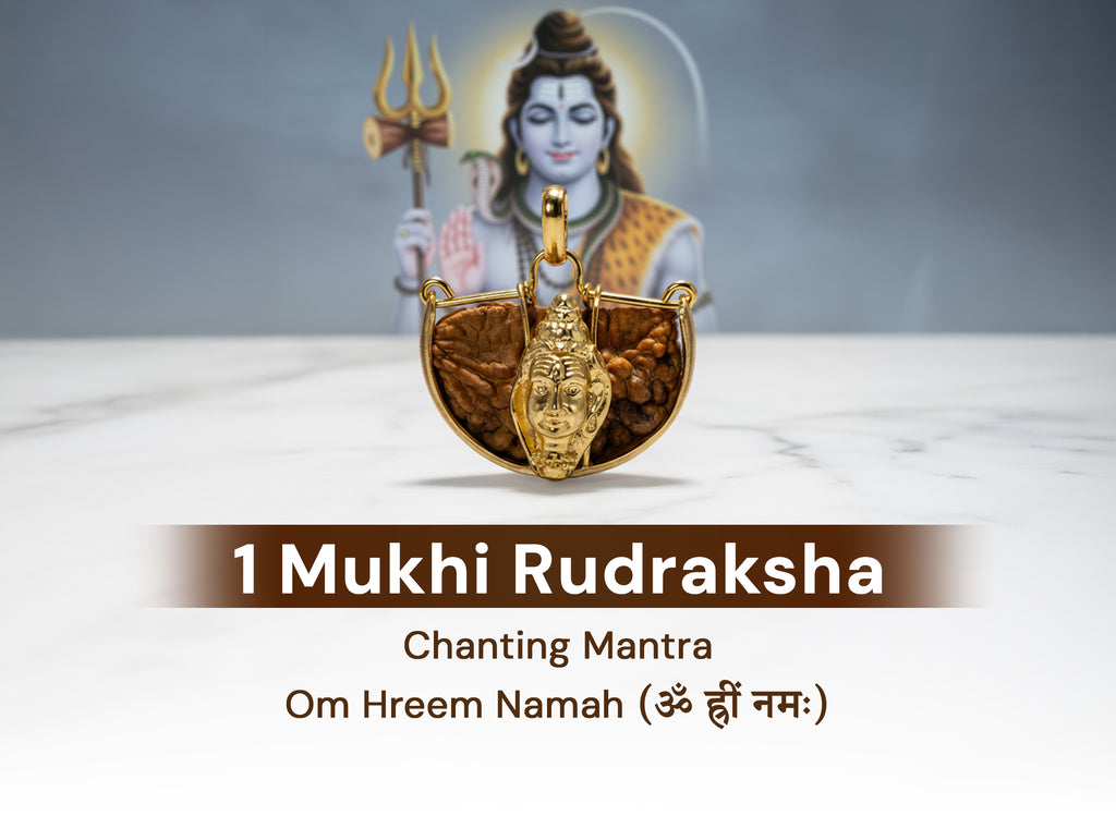 1 Mukhi (Shiv) Rudraksha