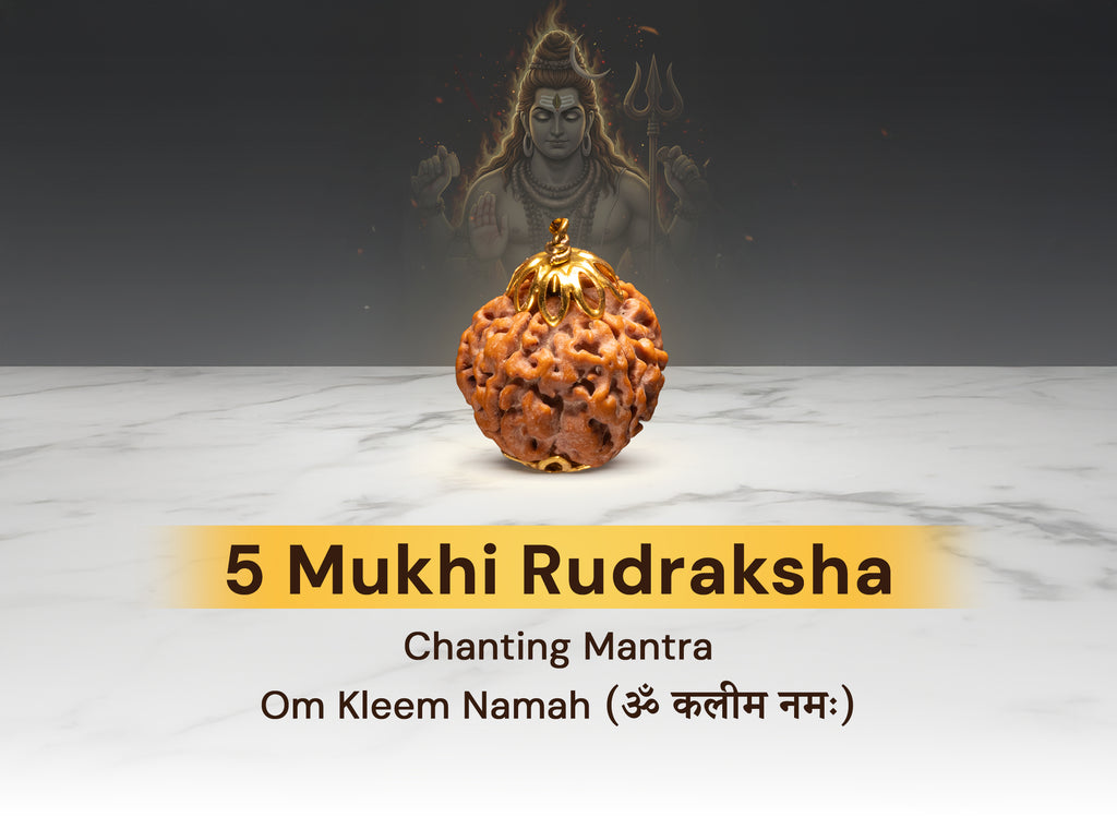 5 Mukhi Nepali Rudraksha
