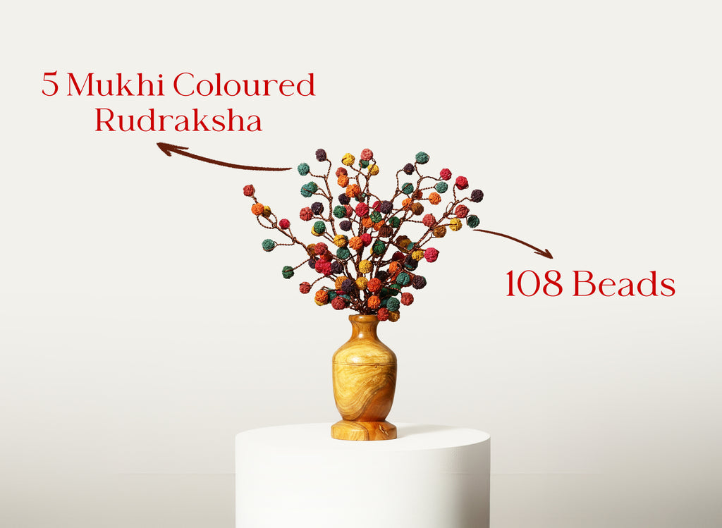Rudraksha Tree