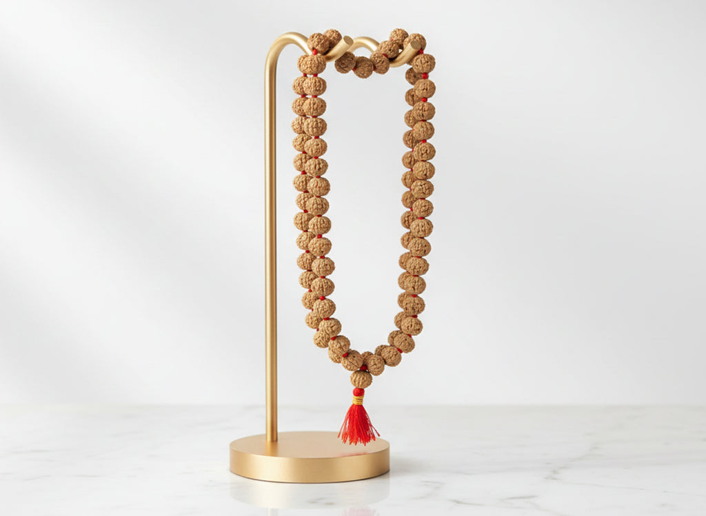 6 Mukhi Rudraksha Mala, 10mm (54 + 1 Beads)