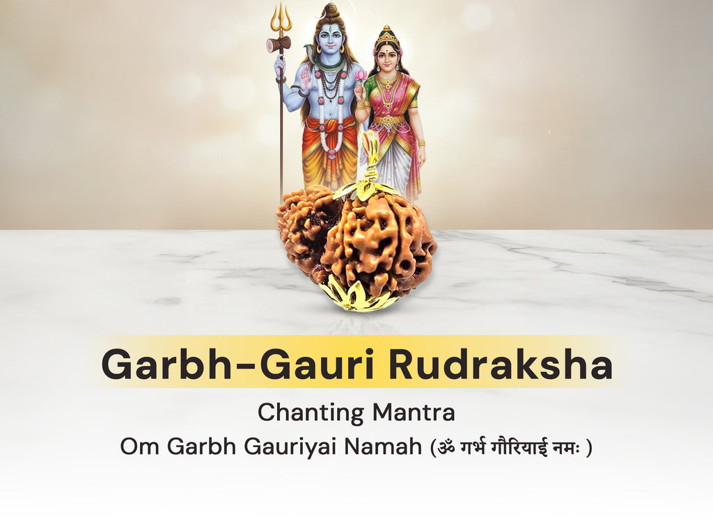 Garbh-Gauri Original Nepali Rudraksha