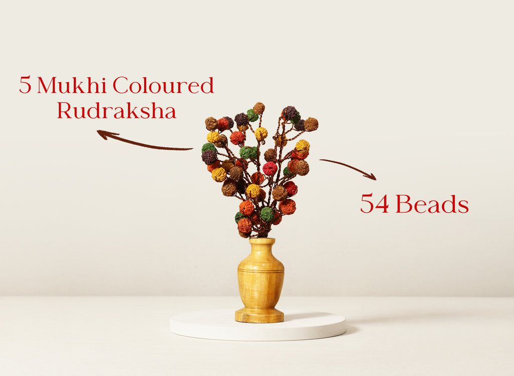 Rudraksha Tree (54 Beads) – Colored