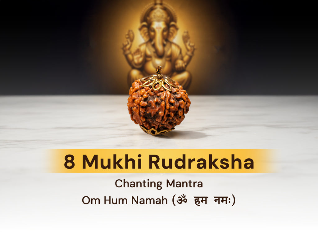 8 Mukhi Original Nepali Rudraksha