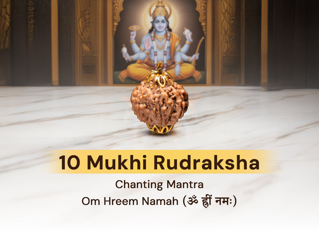 10 Mukhi Nepali Original Rudraksha