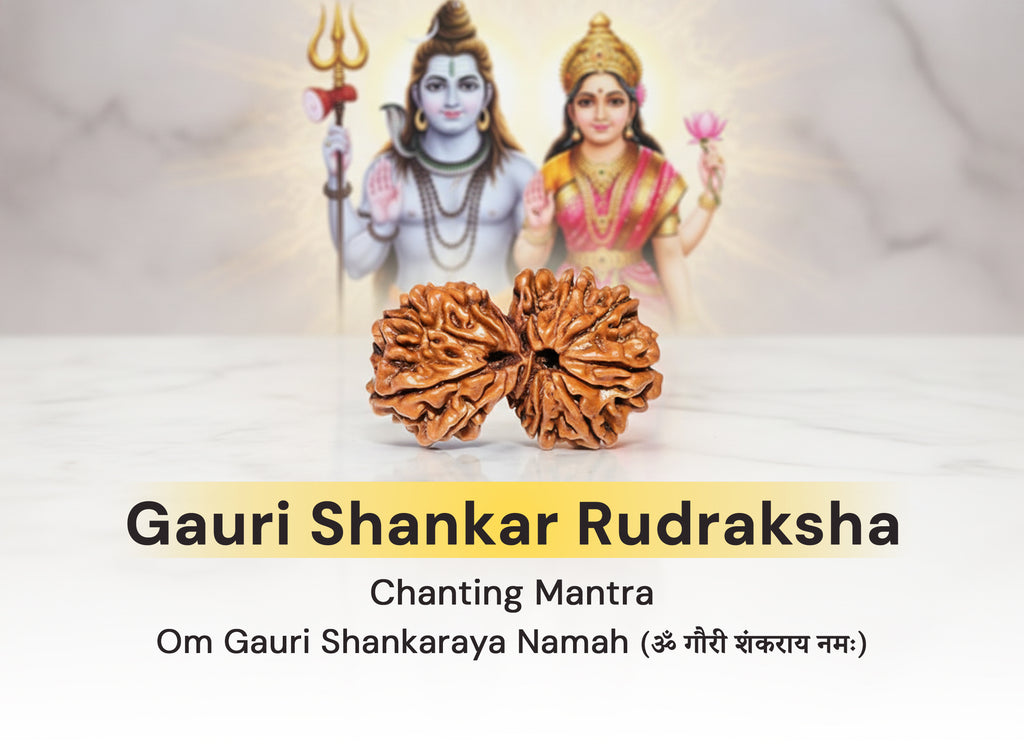 Gauri Shankar Rudraksha