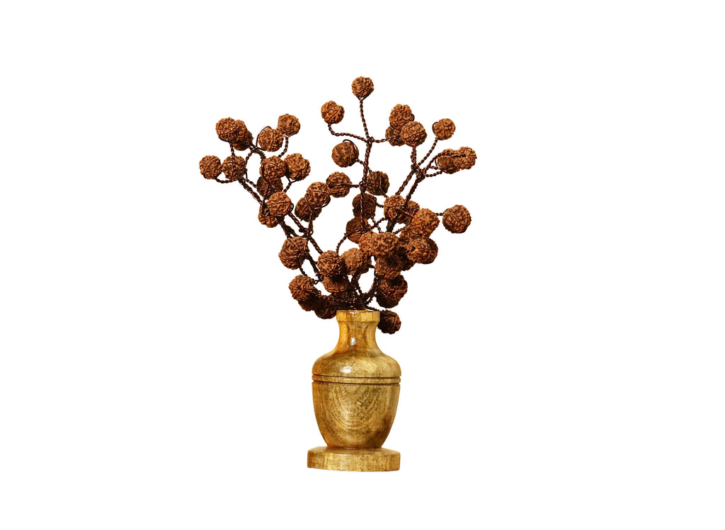 Rudraksha Tree (54 Beads) – Without Color