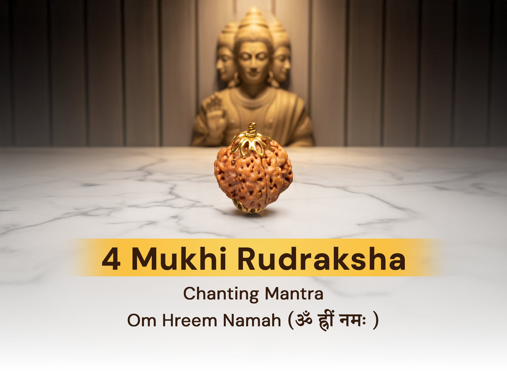 4 Mukhi Original Nepali Rudraksha