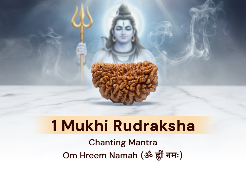 1 Mukhi (Kaju) Rudraksha