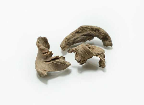 Bharangi Root - Bharangi Ki Jad