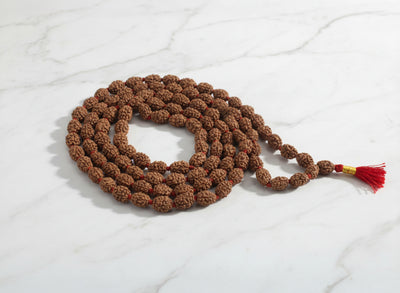 2 Mukhi Rudraksha Mala (54 Beads)