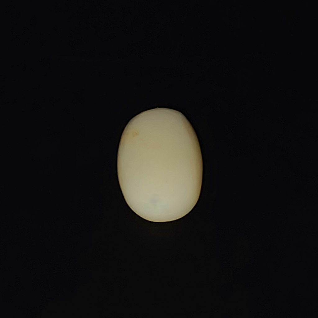 Opal - 4.63 Carat