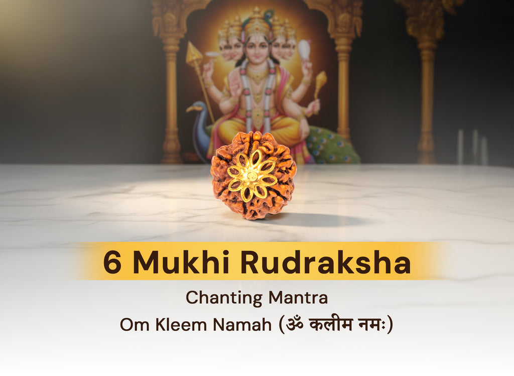 6 Mukhi Nepali Rudraksha